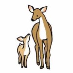 シカの母と子