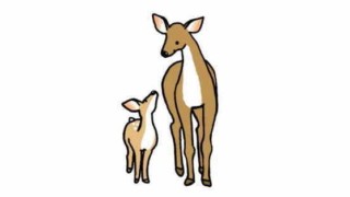 シカの母と子