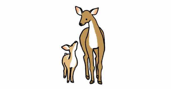 シカの母と子
